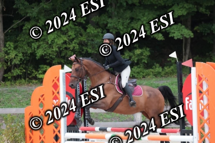 200SC1_9784