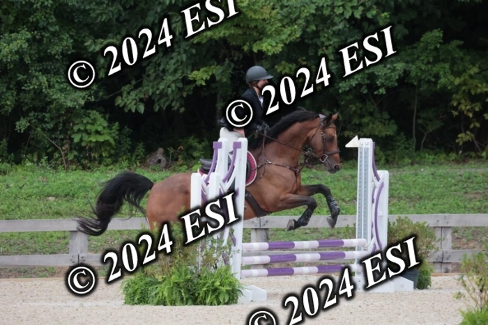 200SC1_9786