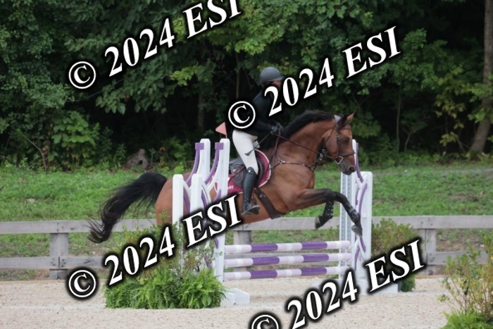 200SC1_9787