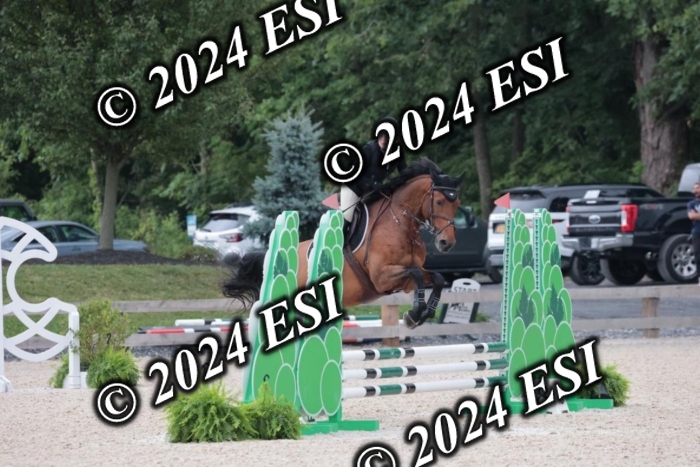 200SC1_9811