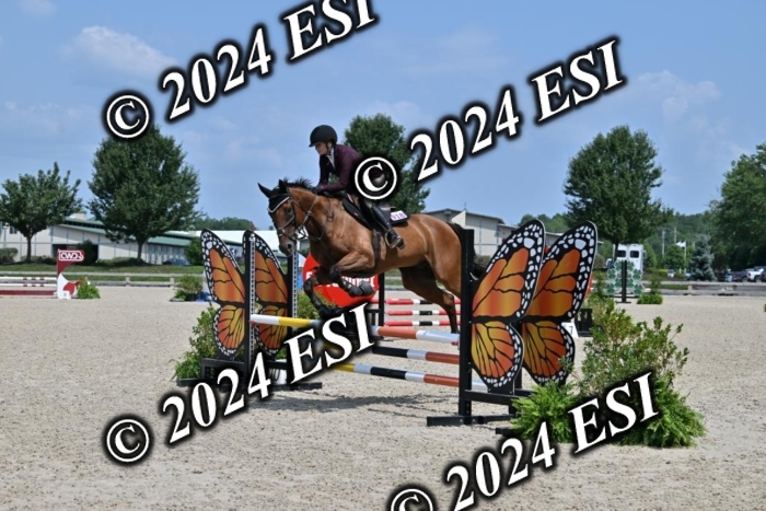 207CMS_5860