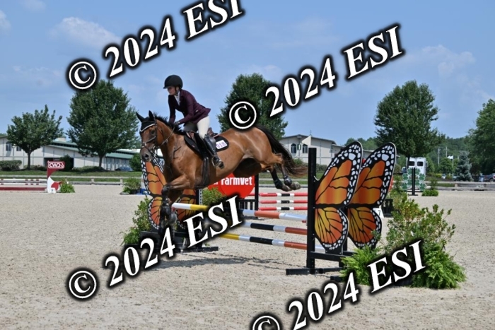 207CMS_5861