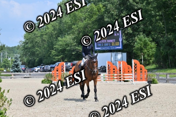 207CMS_5880