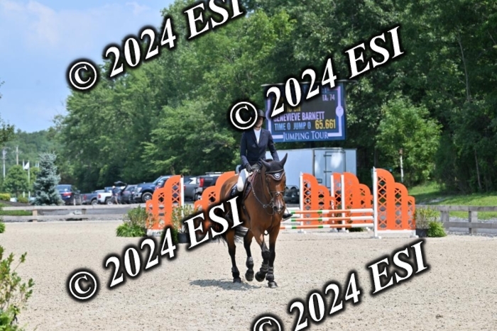 207CMS_5881