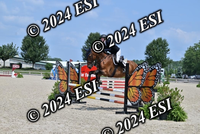 207CMS_5889