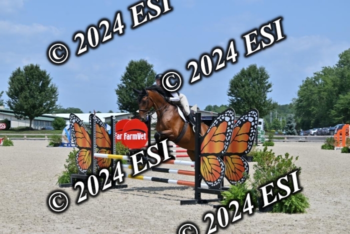 207CMS_5900