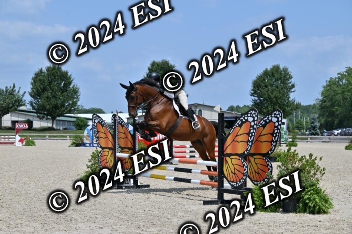 207CMS_5901