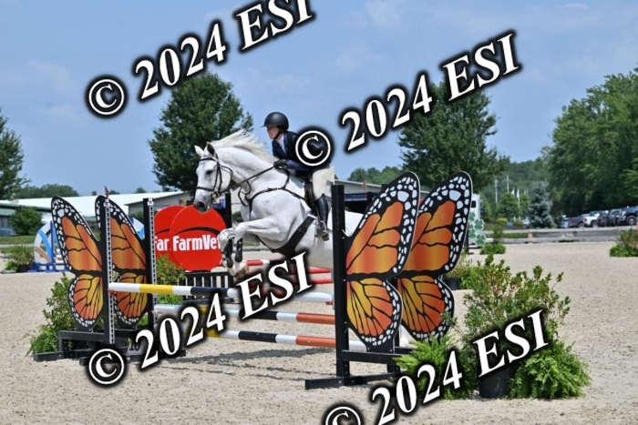 207CMS_5911