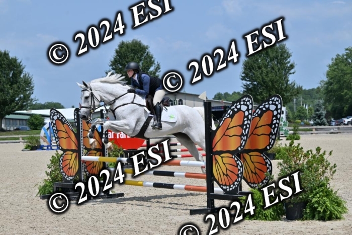 207CMS_5912