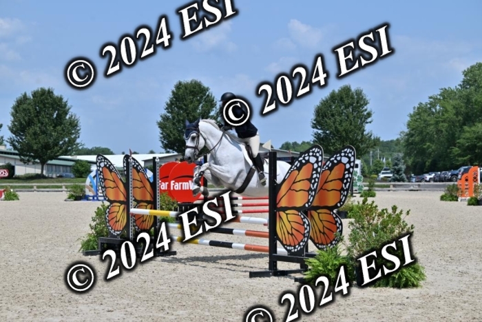 207CMS_5926