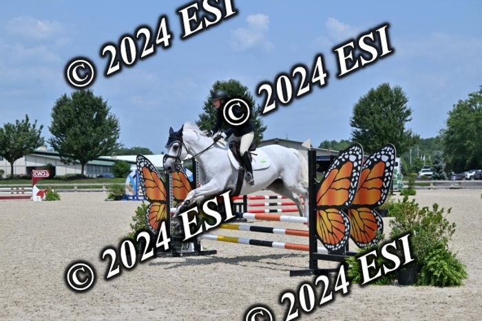 207CMS_5927