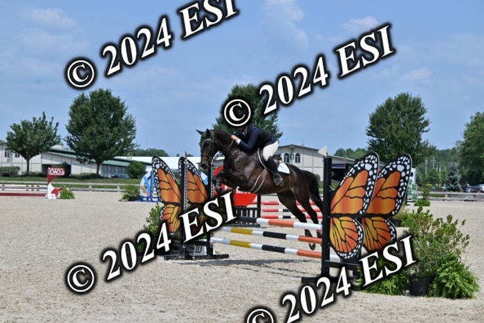 207CMS_5942