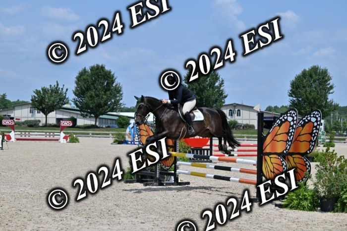 207CMS_5943