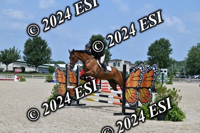 207CMS_5955