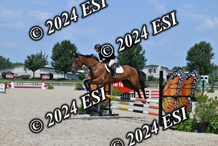 207CMS_5956