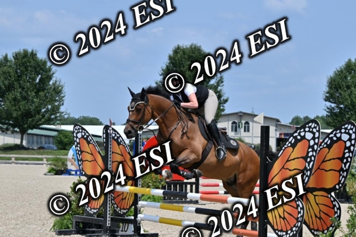 207CMS_5966