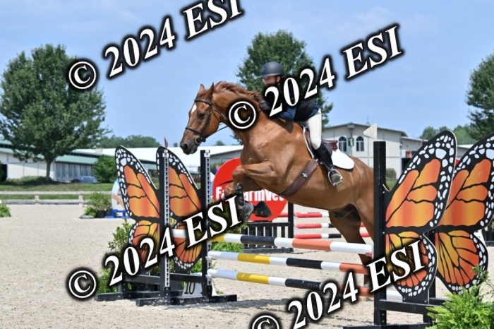 207CMS_5979