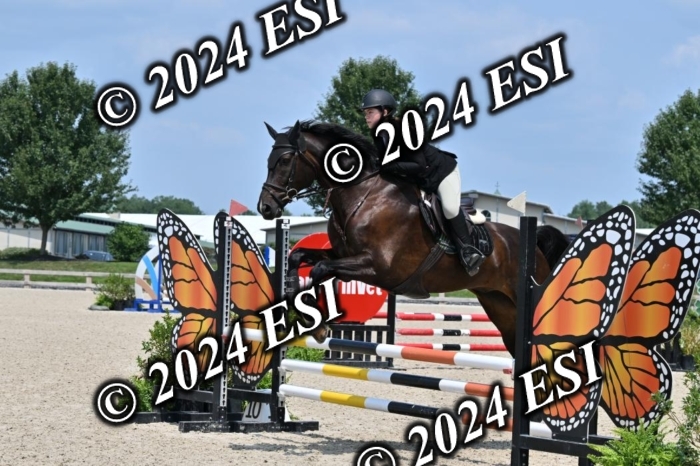 207CMS_5996