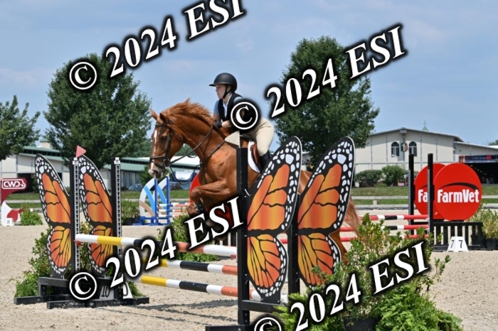 207CMS_6012