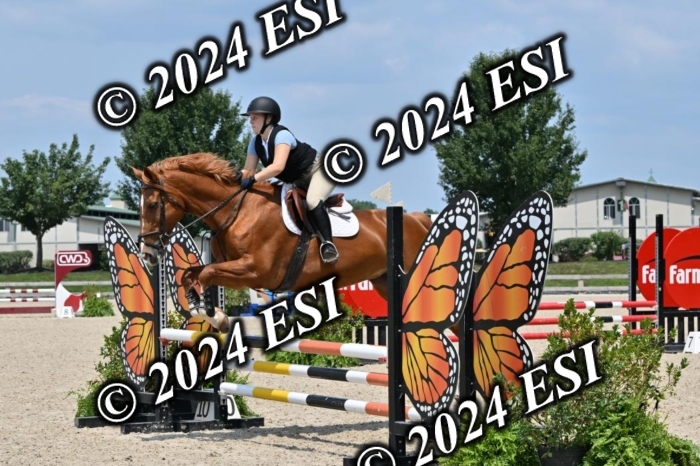 207CMS_6013