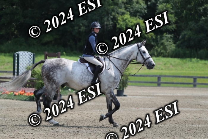 165RWCL2624