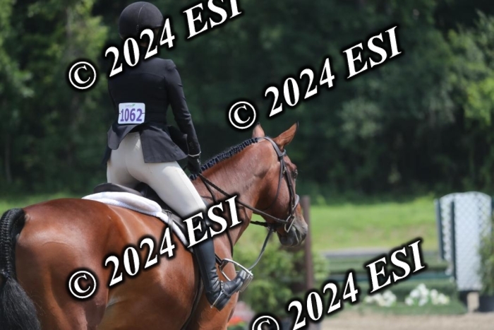 165RWCL2694