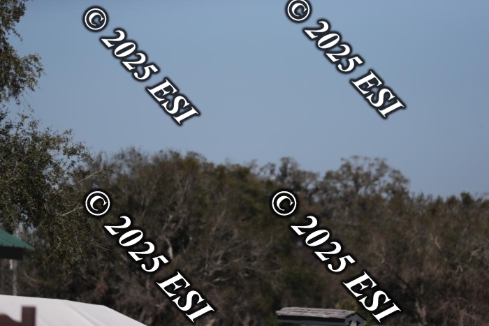 565AF2I1354