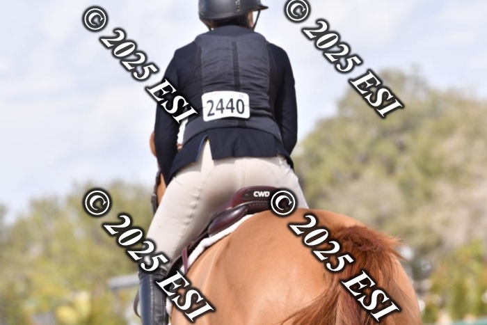 392CSC_4330