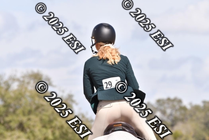 392CSC_4345