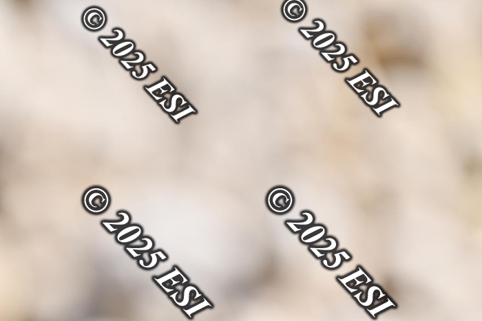 321LD8_5534