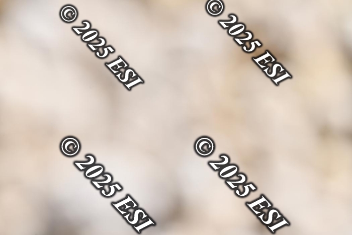 321LD8_5535