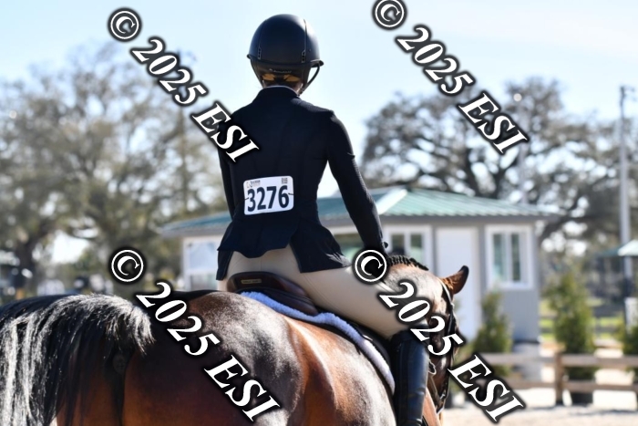 321LD8_5557