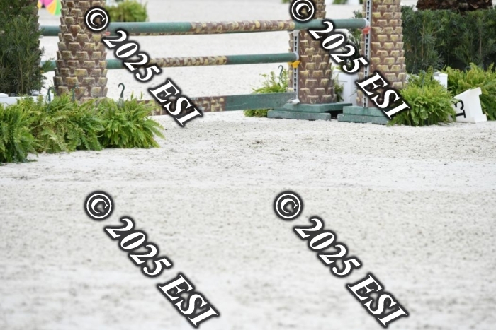 479DAV_9759