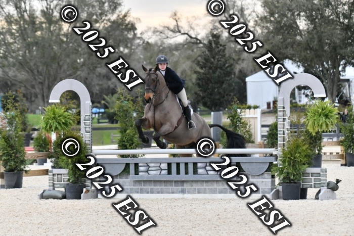 391LD8_5742