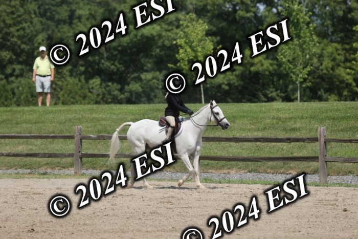 657GAB19974