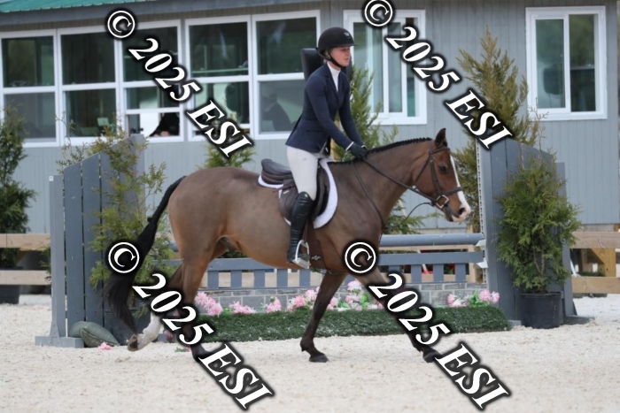 183AF2I2246