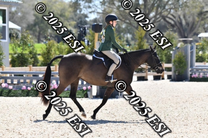 191LD8_6709