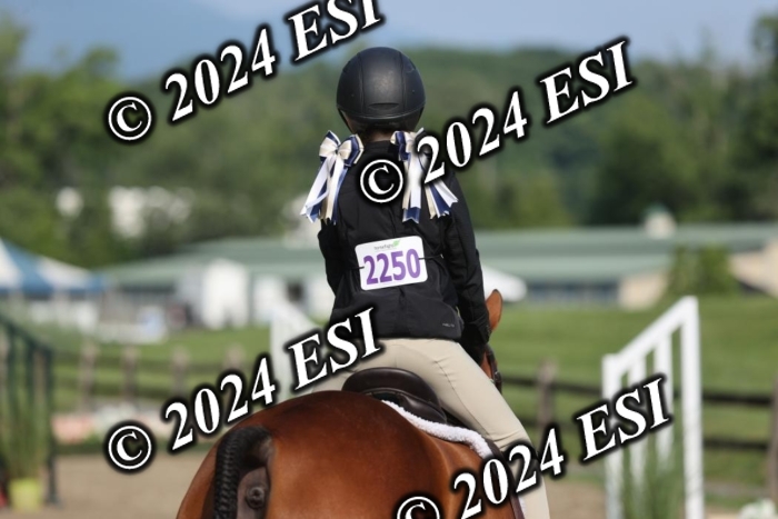 361GAB19069