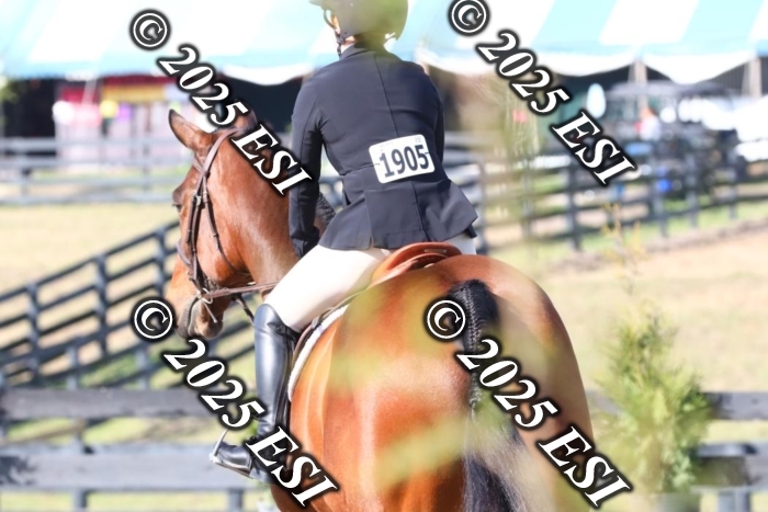 770MJC_9764