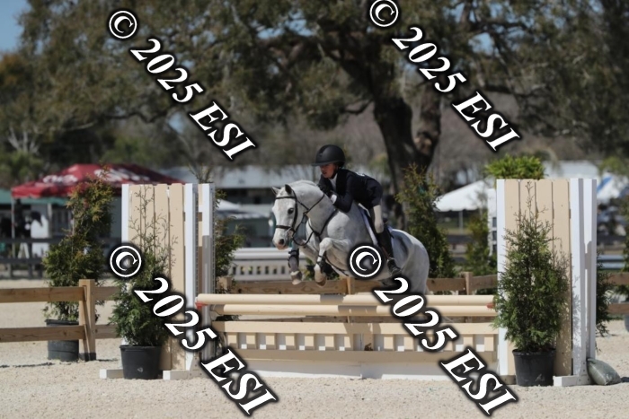 183RWCL2888