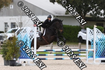 207MJC_0395