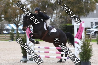 207MJC_0397