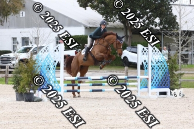207MJC_0402