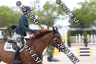 207MJC_0407