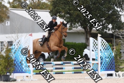 207MJC_0408