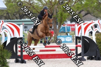 207MJC_0411