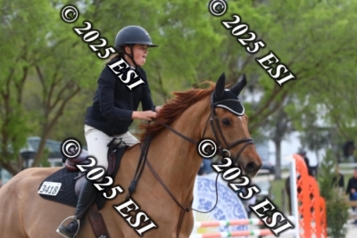 207MJC_0412