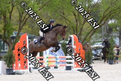 207MJC_0414