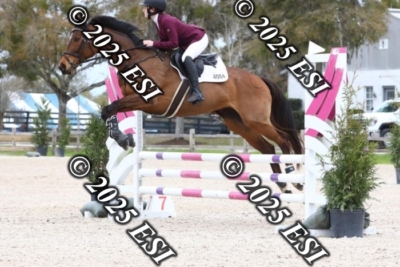 207MJC_0420