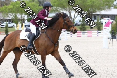 207MJC_0423